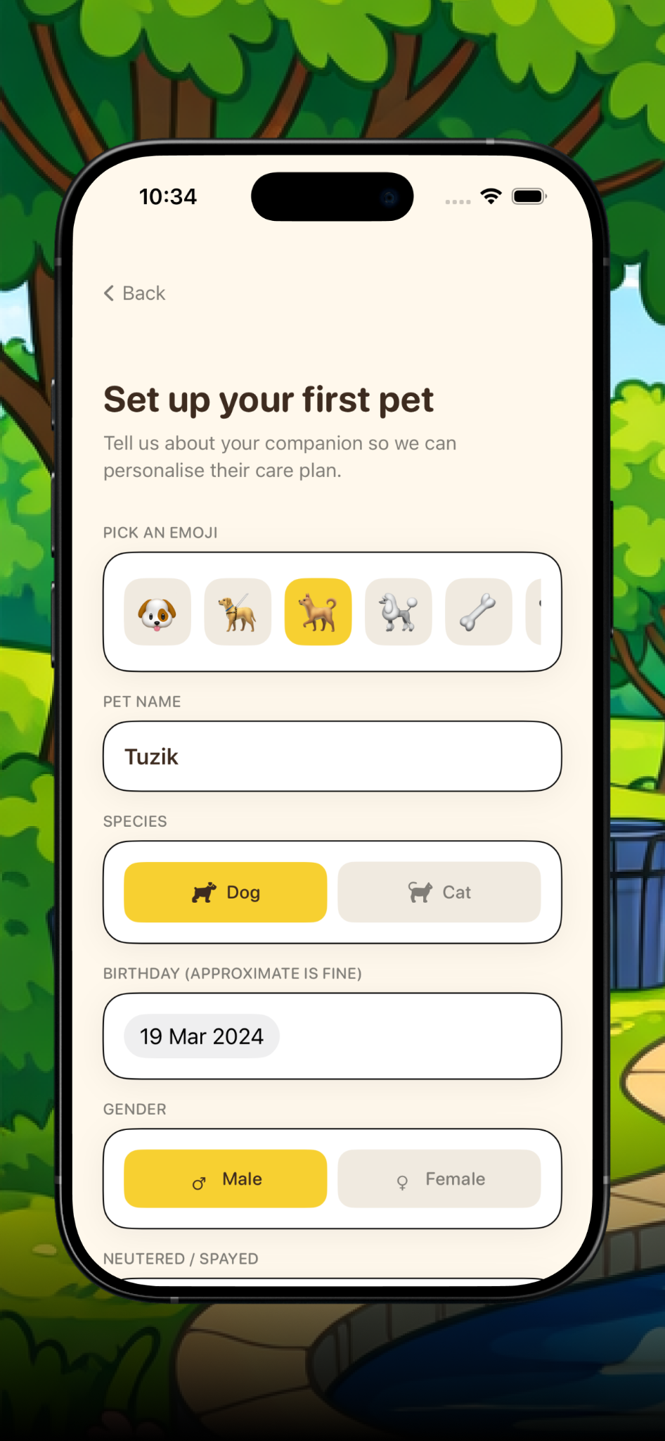 Pet setup screen